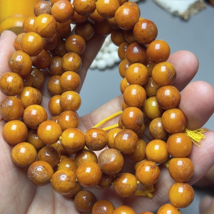 大果紫檀（缅甸花梨）