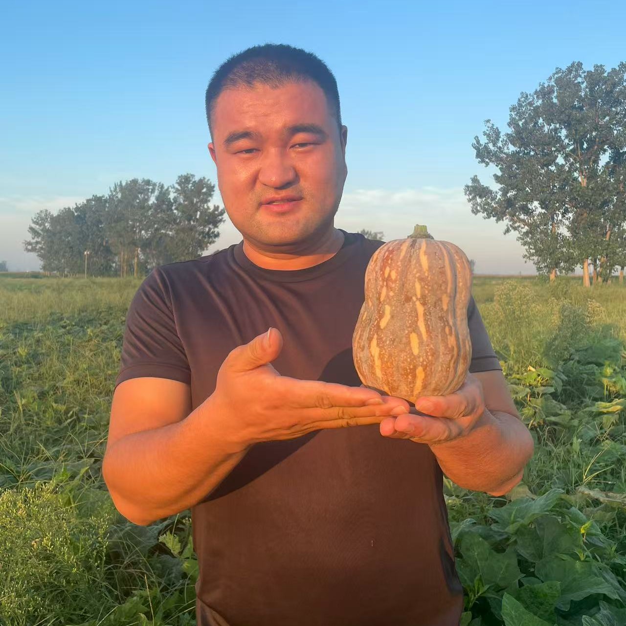 正宗小金香花生南瓜软糯香甜清蒸煲粥宝宝辅食