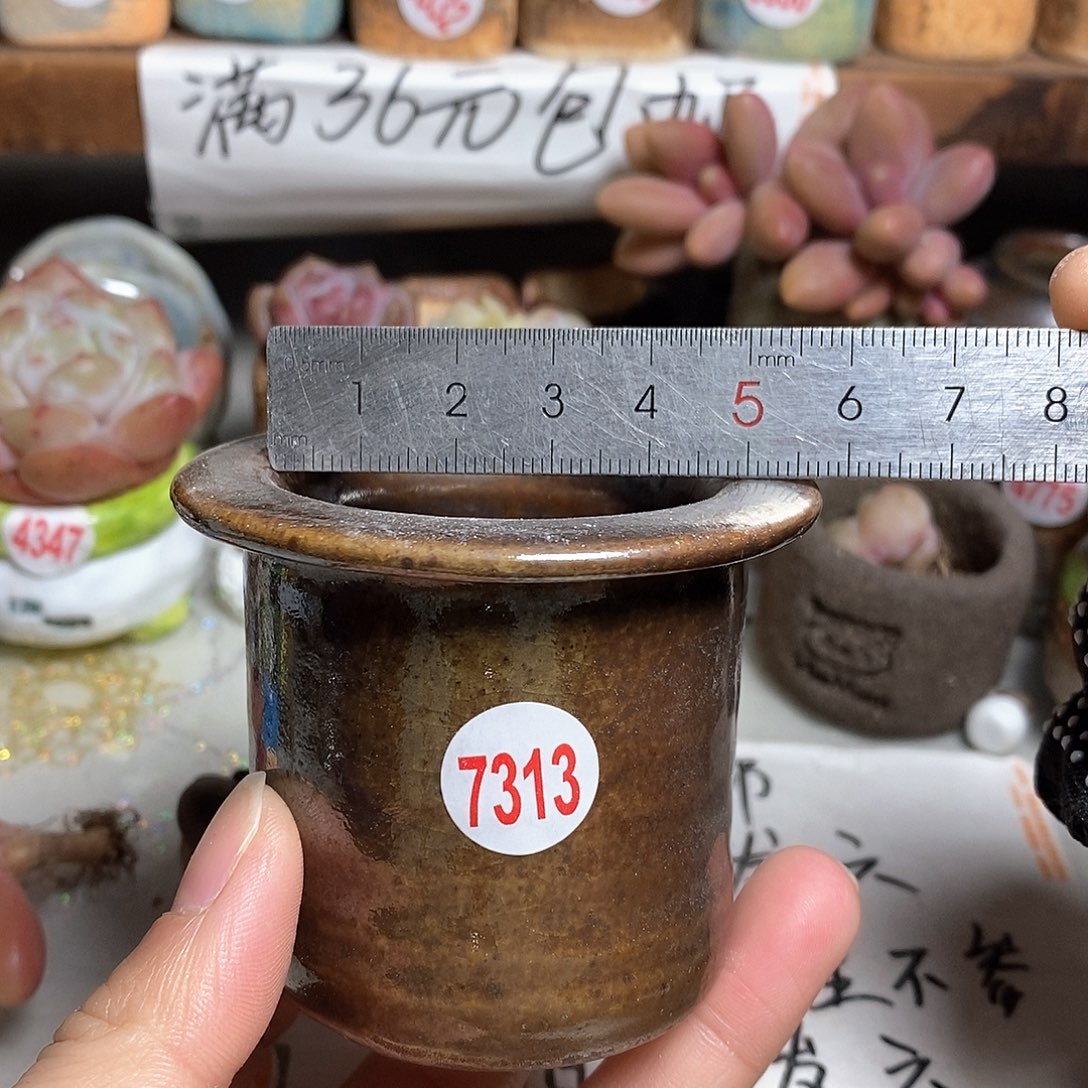 红陶拍5送一个小