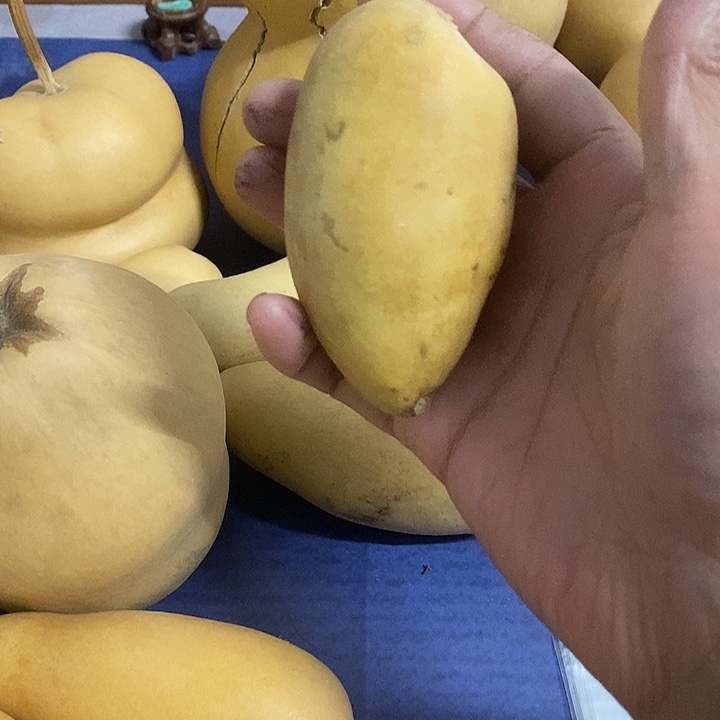 飝***襄葫芦手把件摆件葫芦