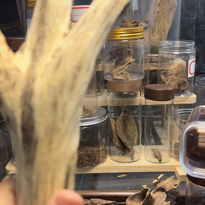 沉香枕沉香香港树根243克