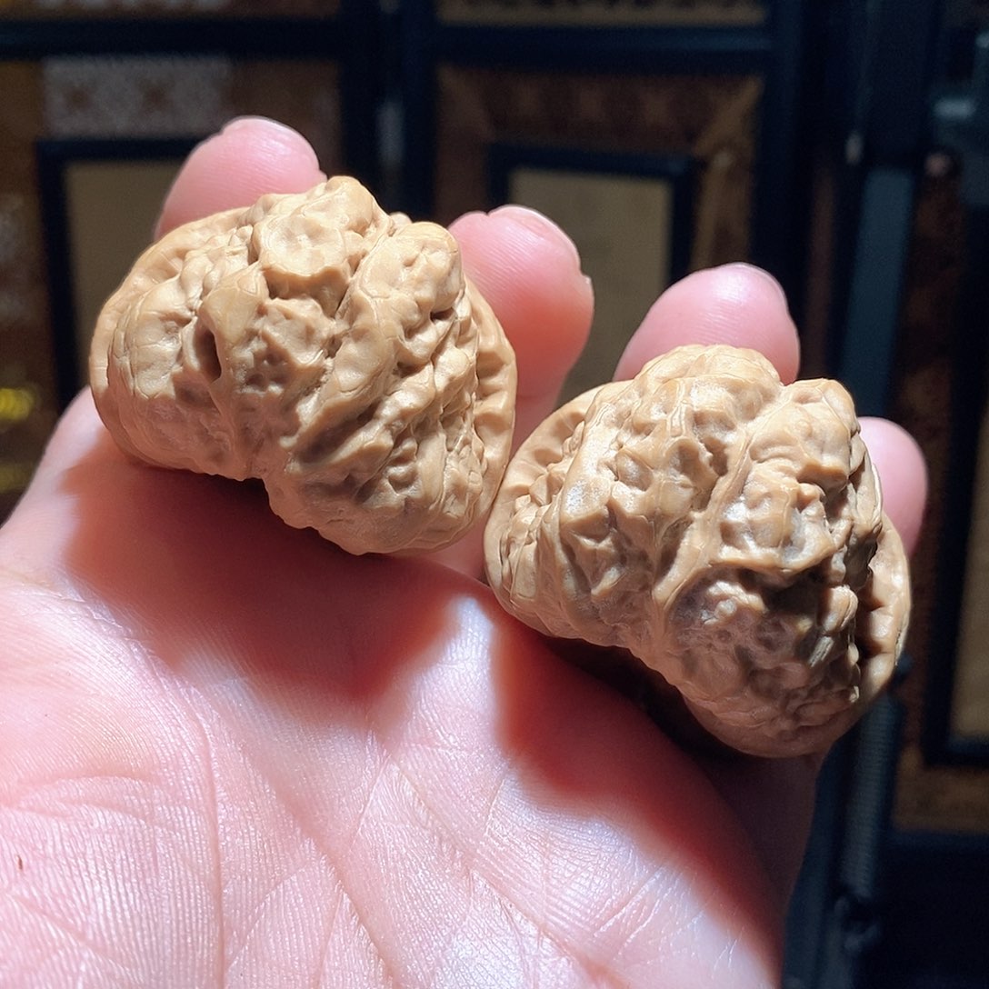 文玩核桃把件41边45肚蛤蟆头全品