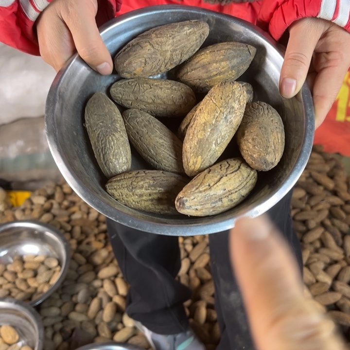 吊坠千眼菩提千眼菩提刷料 10 个。