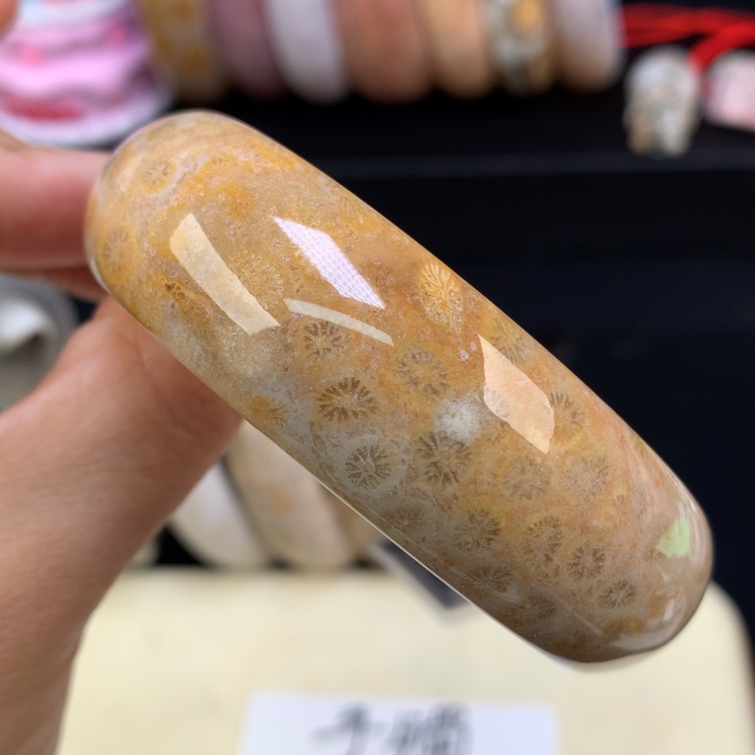 硅化珊瑚（珊瑚玉）未镶嵌吊坠(赠链)（32号）福利手镯57.3圈