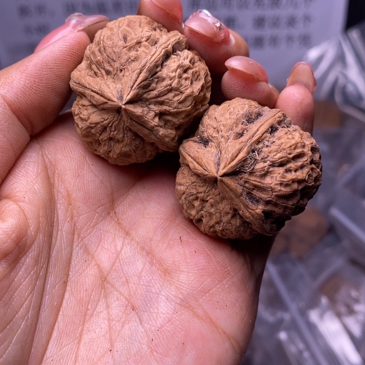 核桃云南野生铁核桃104号34mm