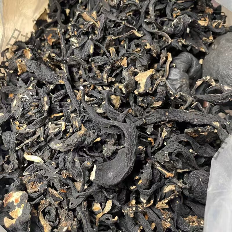 【新货】 阿坝高山  乌灵参根  搭配枸杞 皇精 泡水 煲汤