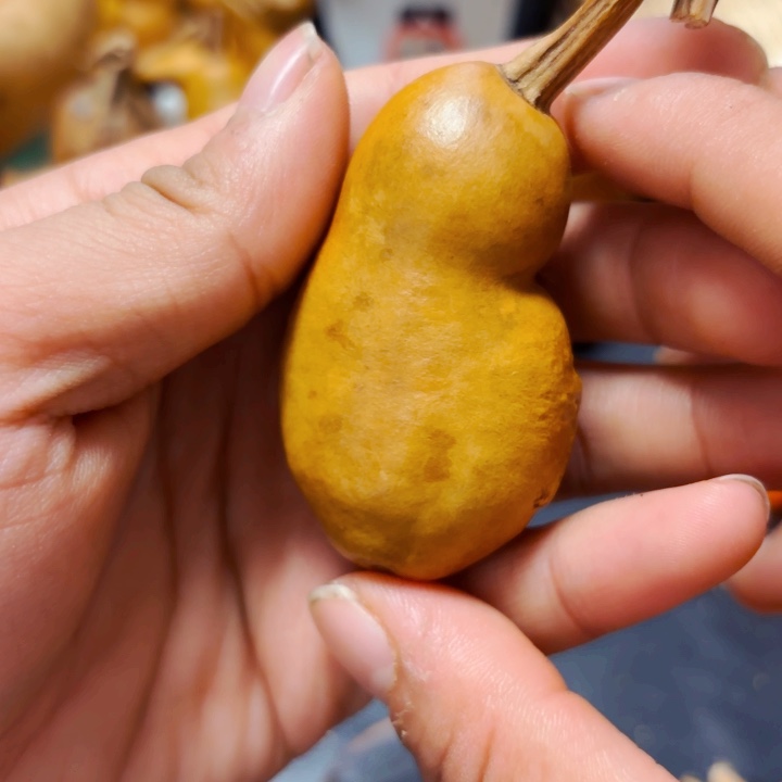 大**边7888888888888888888