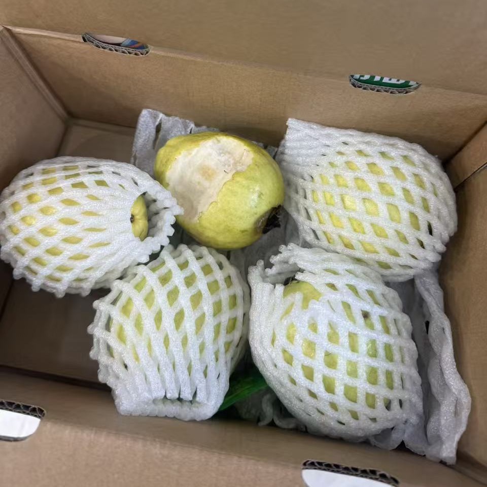树上熟奶油芭乐1箱