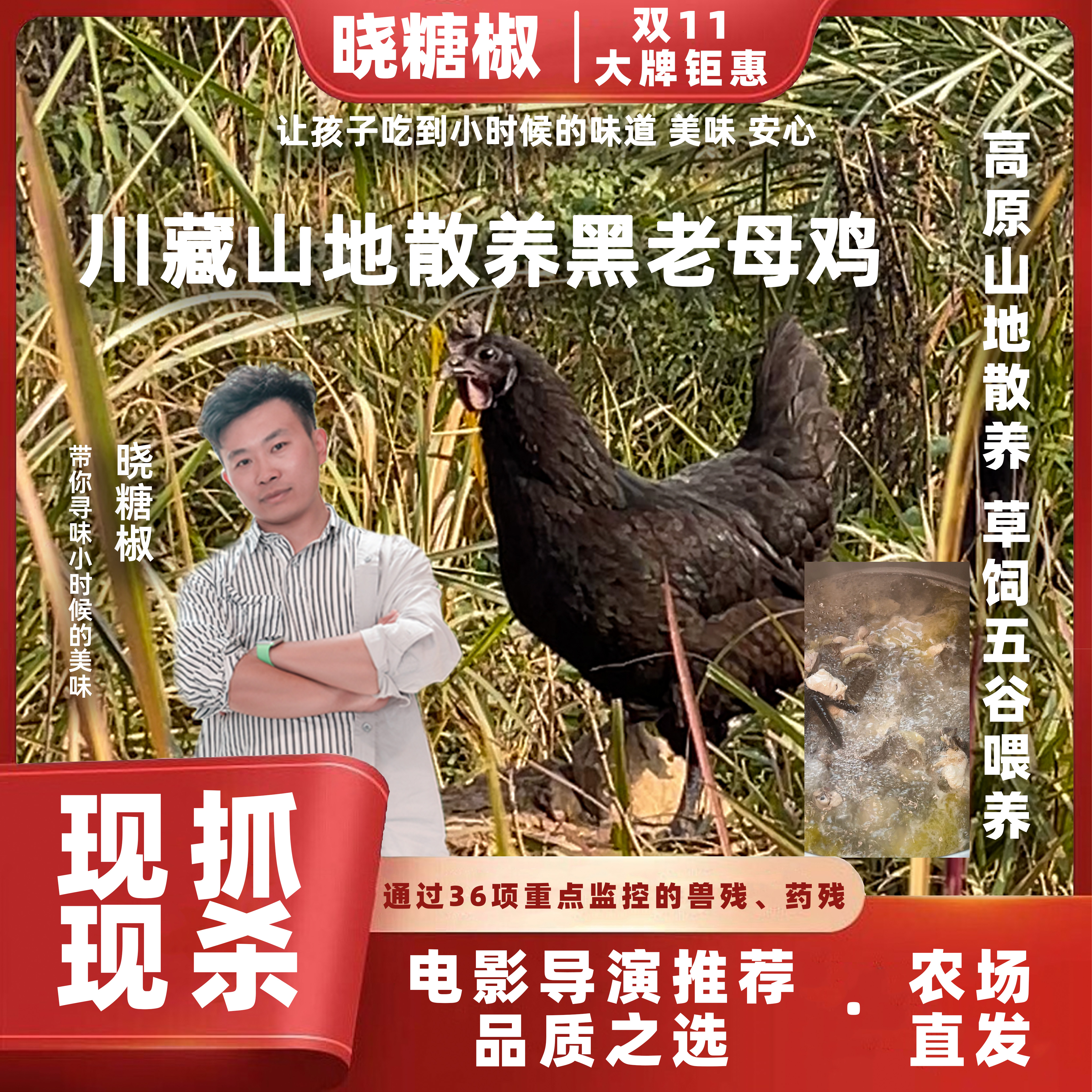 【2只老母鸡 13个月】晓糖椒川藏山地散养黑老母鸡土鸡煲汤鲜美营养