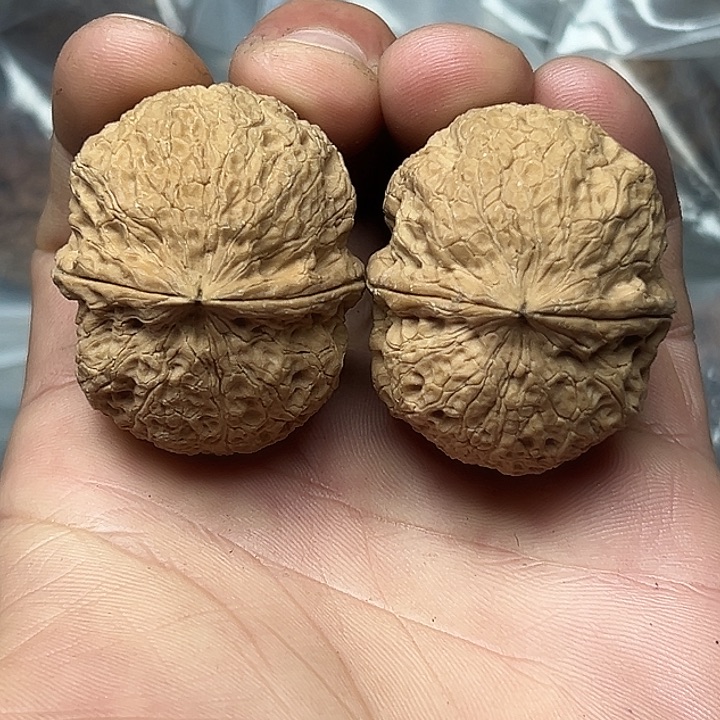 把件文玩核桃38号山海龙蛋40尺