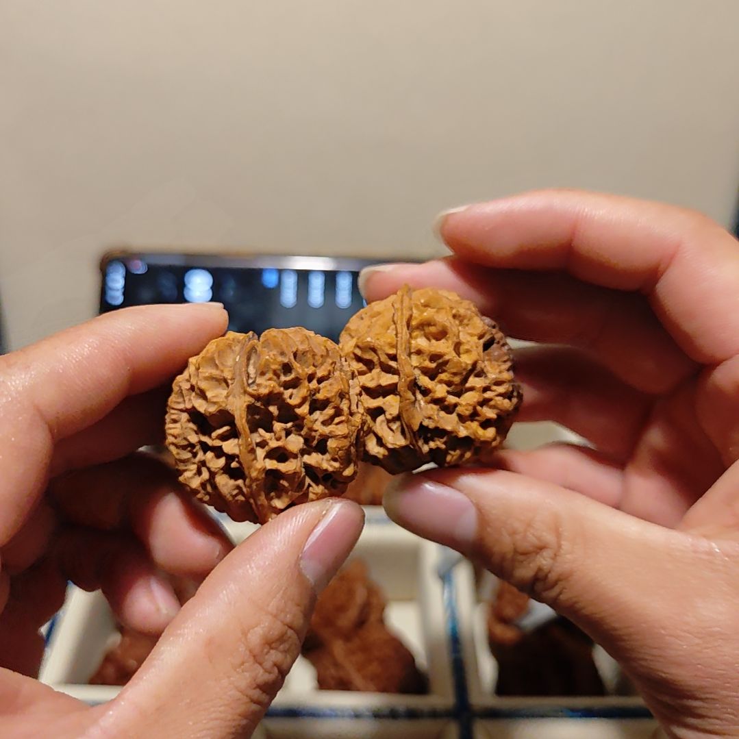 清***木把件文玩核桃云南野生小众秘境文玩核桃螭云