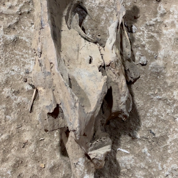 贡木其他秋*定制产品不退不换