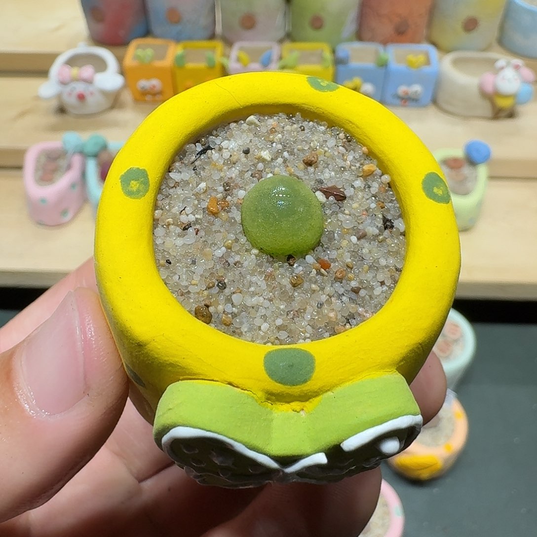 红陶蘑菇546拉登