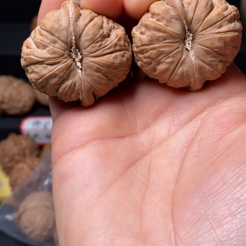 文玩核桃全品南瓜尺39