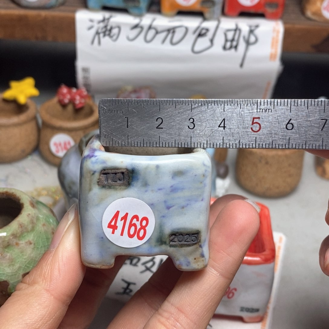 红陶拍5送一个小