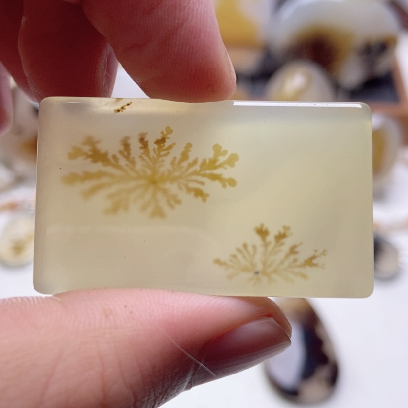 【闪购商品】玛瑙/玉髓颈饰未镶嵌