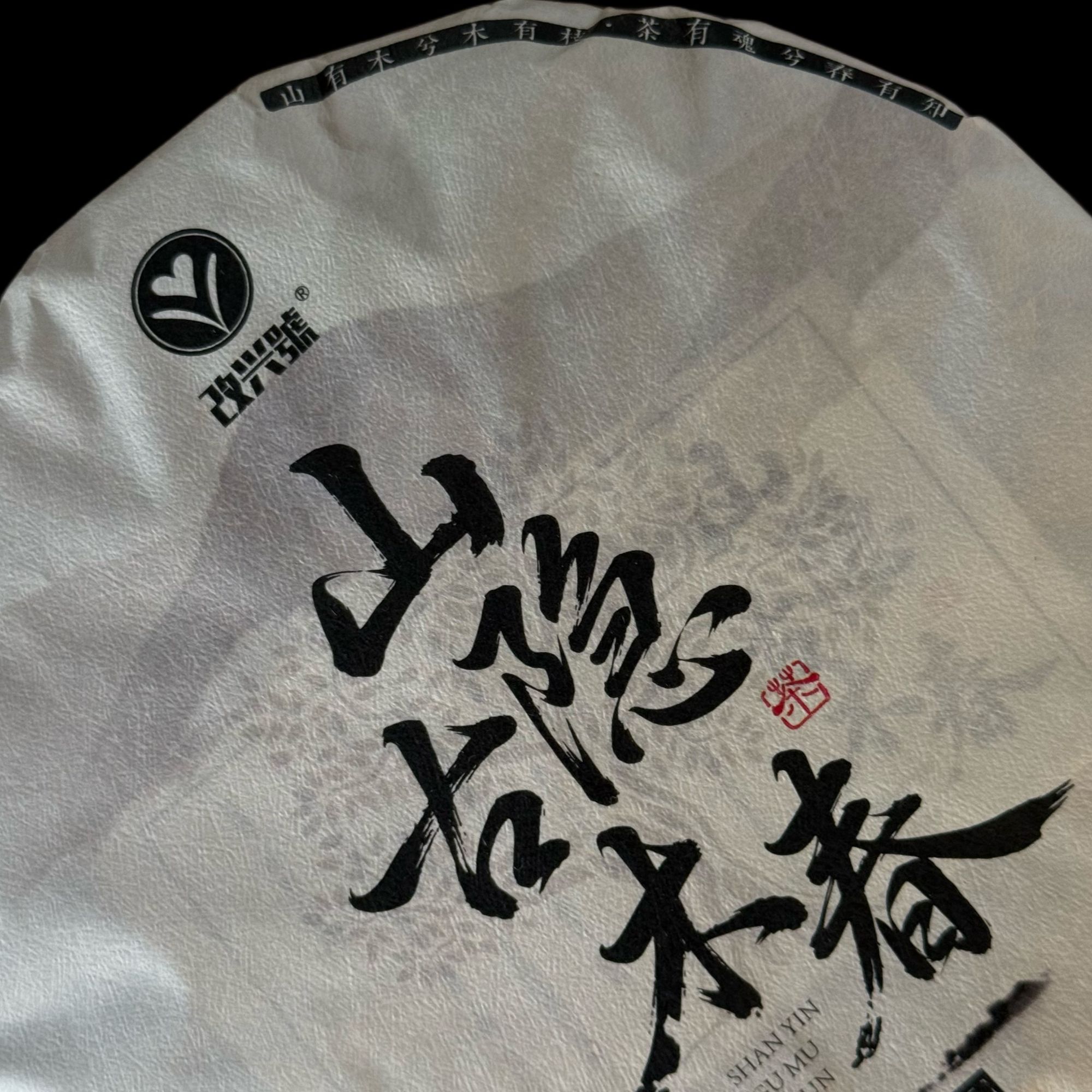 【山隐古木春】2024年春海拔2100米大雪山 藏于深山 韵感厚重