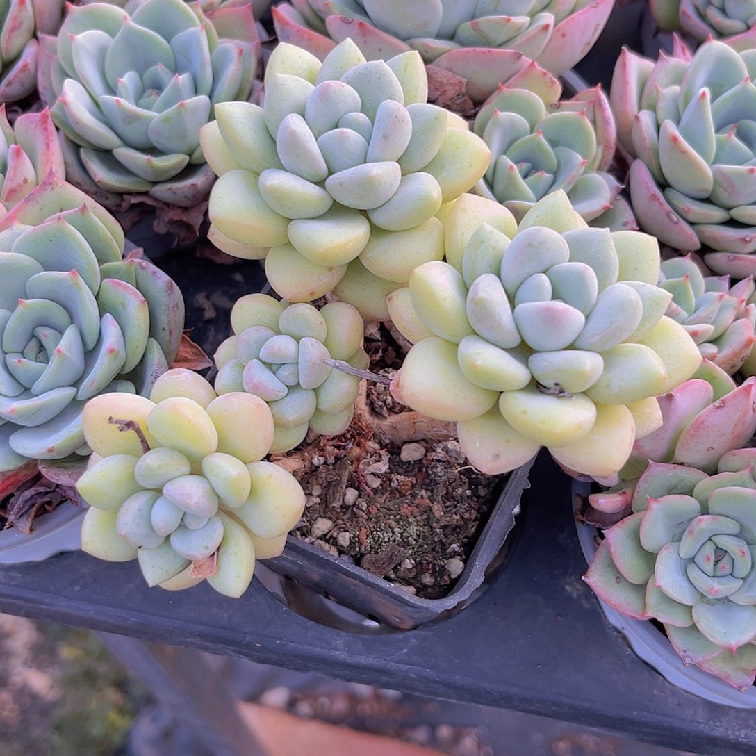 77777777777777777777