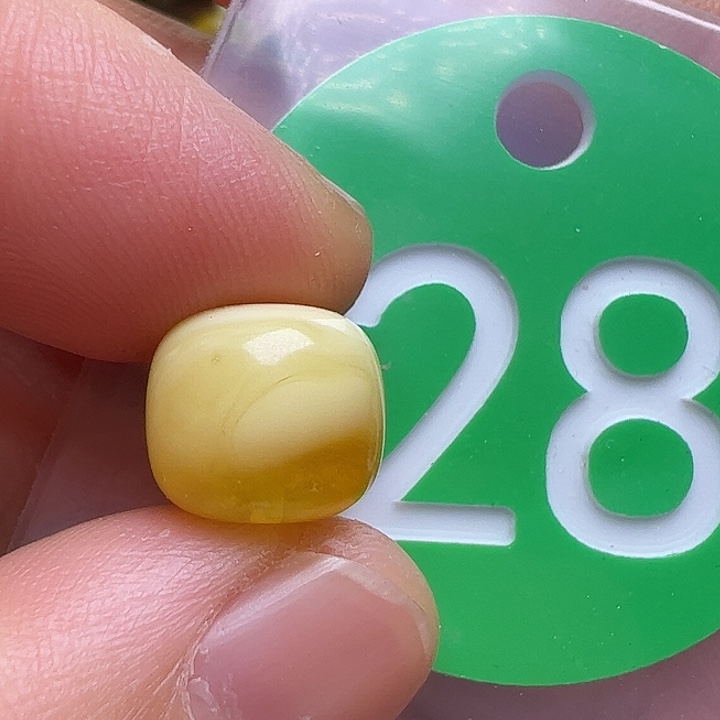 蜜蜡未镶嵌珠宝奇石10.3mm花粉