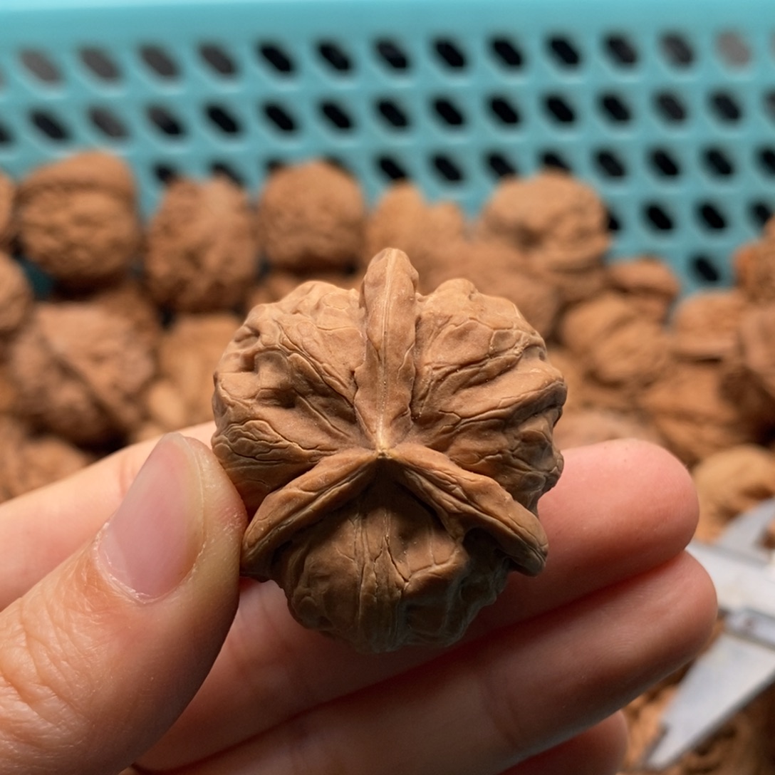 飞***觉核桃定制商品不退不换