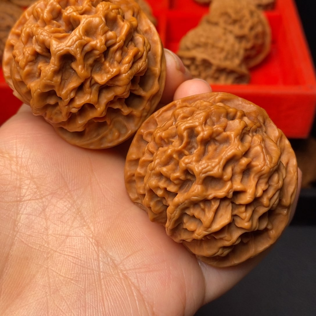 文玩核桃把件秦岭野生核桃