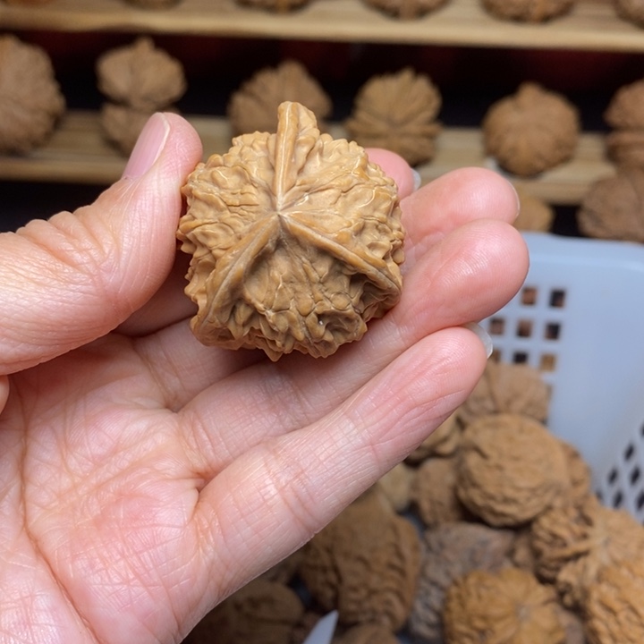 驡***文玩核桃把件文玩