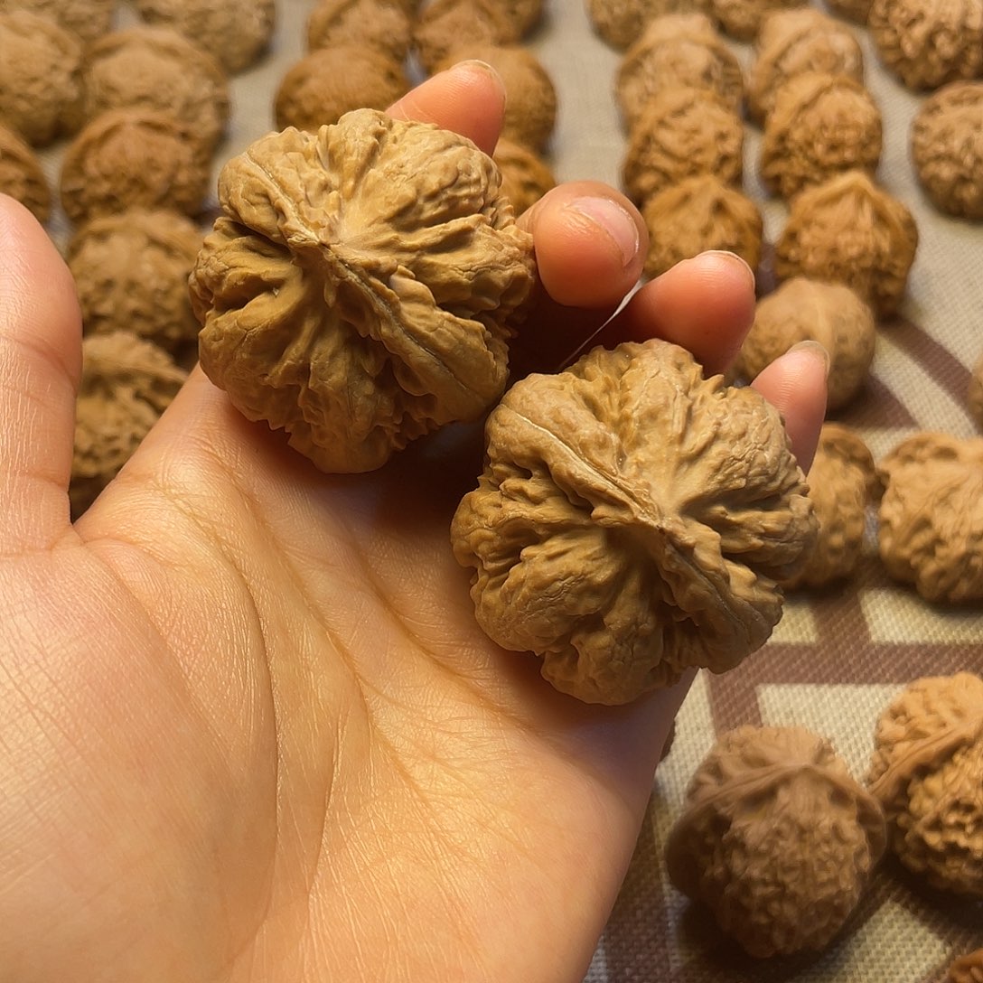 文玩核桃吊坠霸王龙