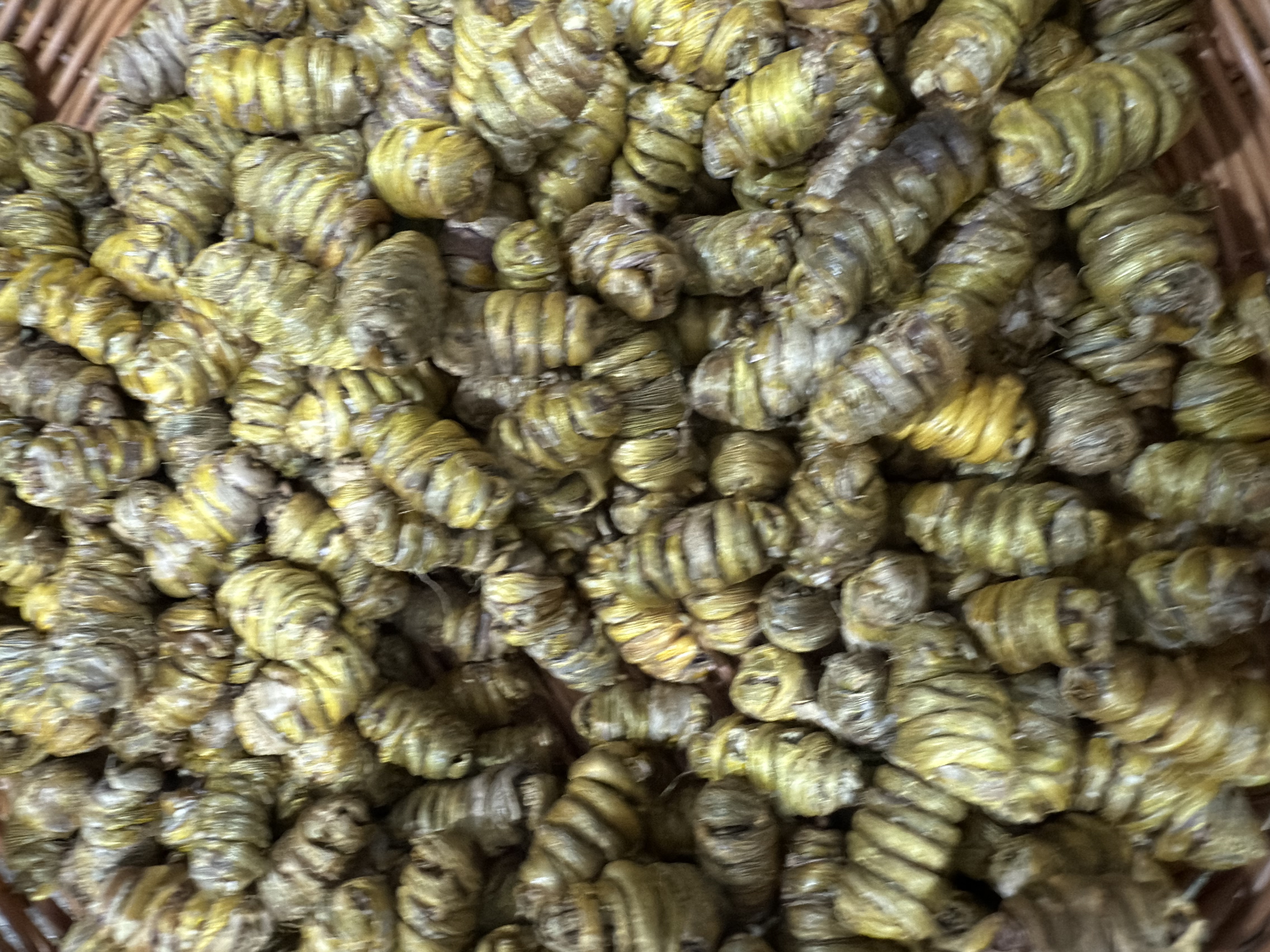 精选正宗铁皮石斛枫斗颗粒饱满胶质多煲汤泡茶滋补养生