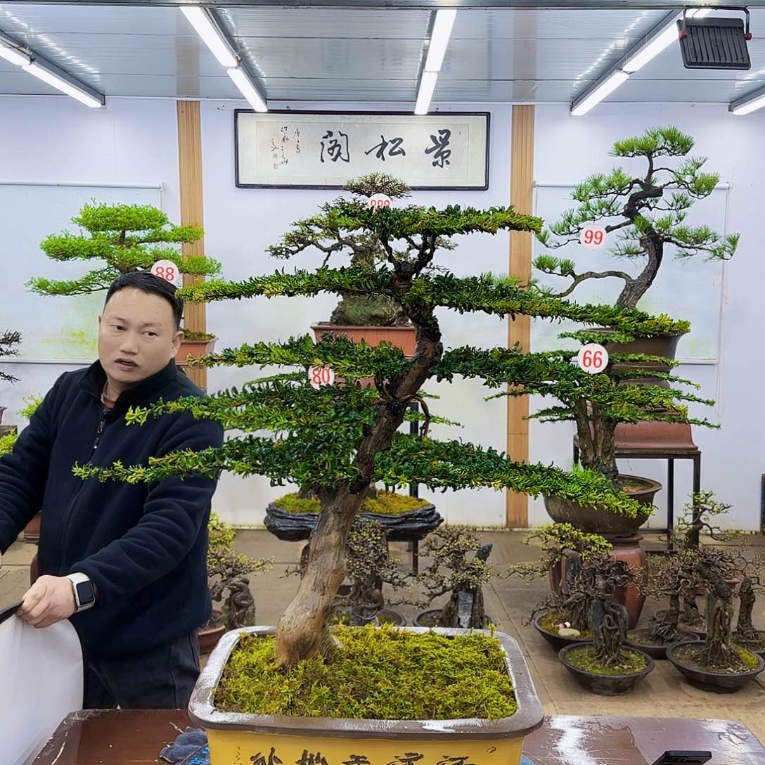 欢迎大家前来选购