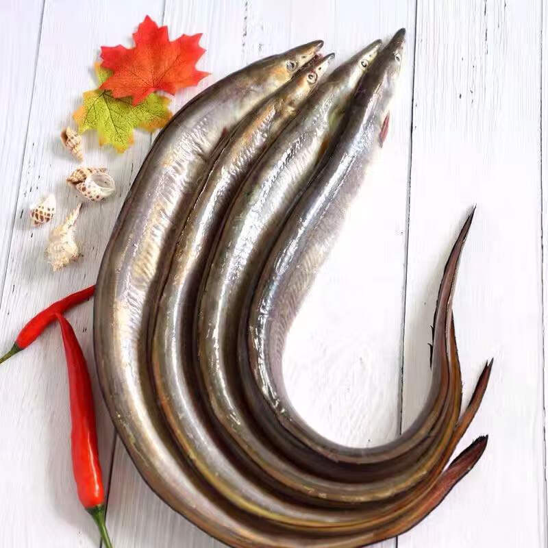 【现场称播特大号自选】舟山本地风鳗筒-整条青鳗淡晒海鲜套餐