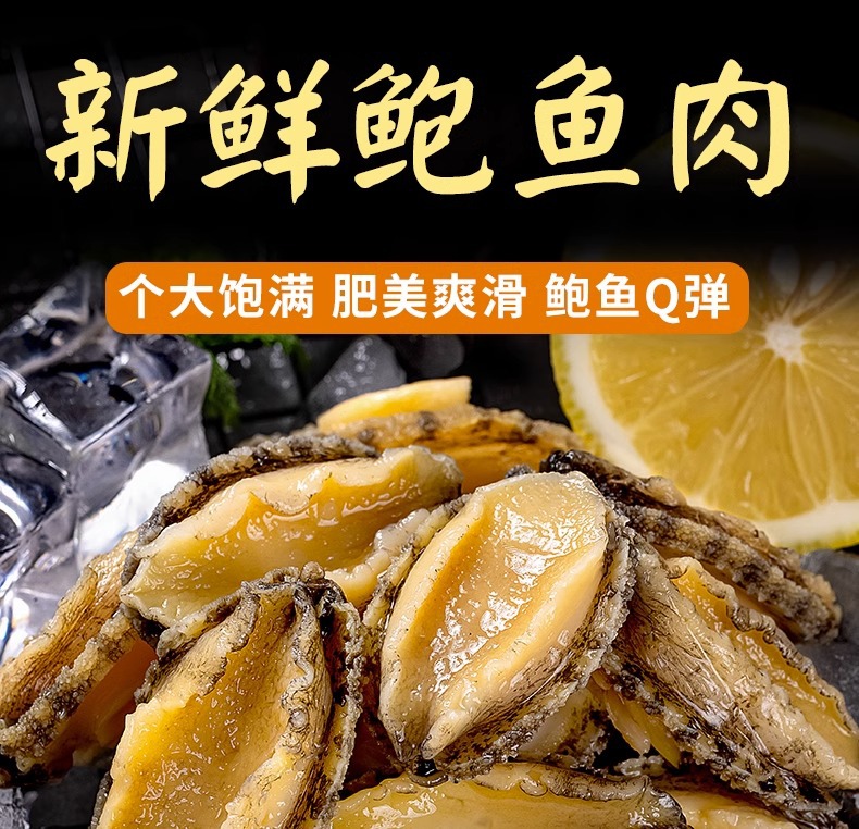 活冻鲍鱼 去壳去内脏去牙 鲍鱼肉 500g/包 顺丰发货