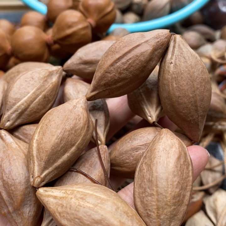 吊坠橄榄核﷽****람