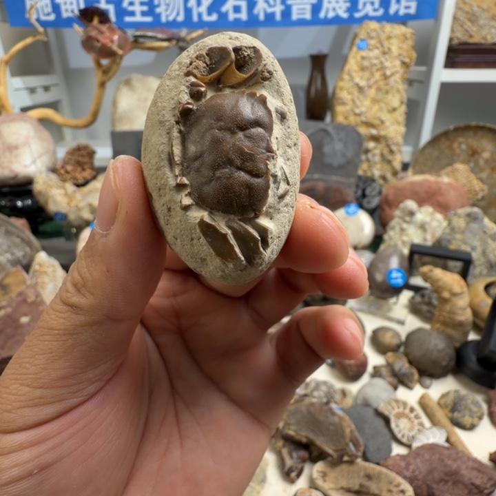 玉家居摆件家居标本