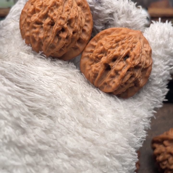 香****核桃37尺秦岭野生十八狮子福利