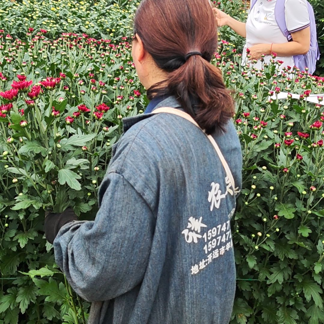 完全开放评论区留言现采现发