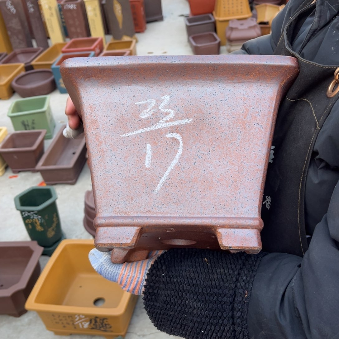 紫砂花盆盆景艺术