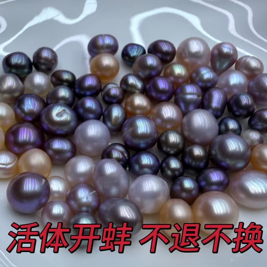 #高品妖紫多珠蚌 可DIY成品配件工具装饰