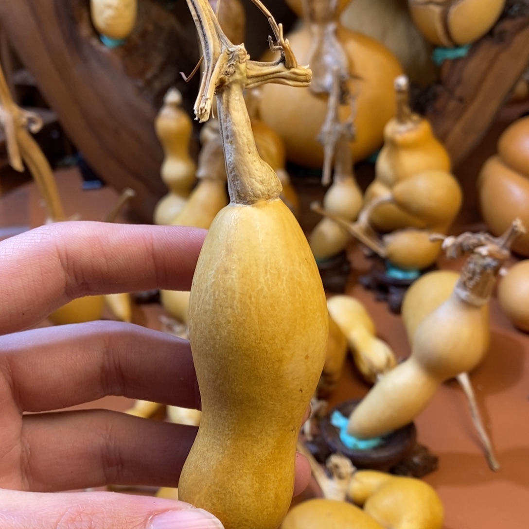****灬教练咯咯哦哦哦哦哦哦咯