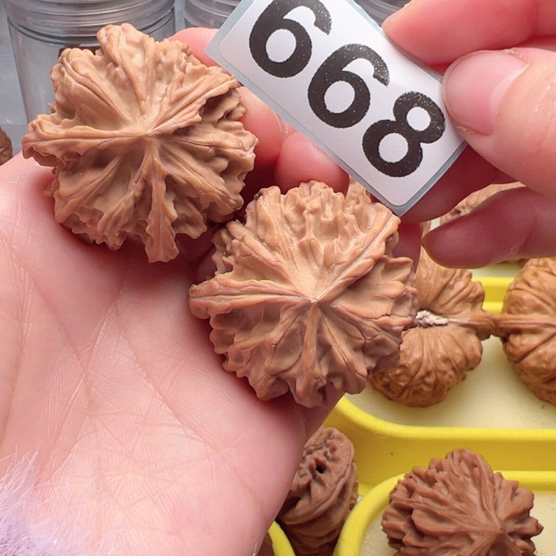 文玩核桃把件文玩668