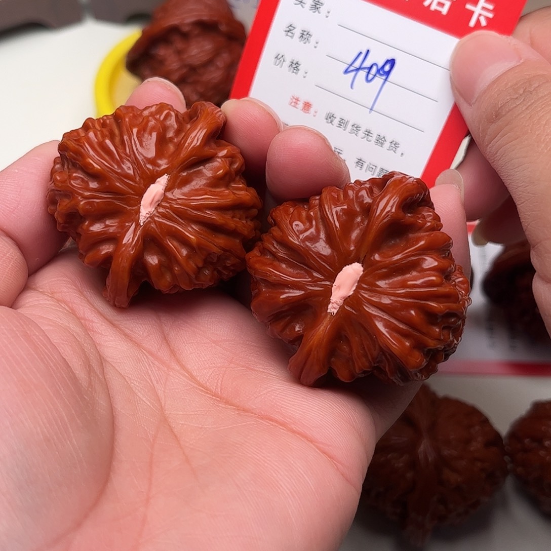409。 43尺。 白狮子