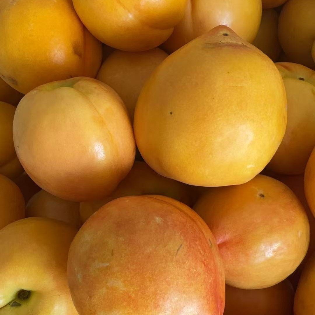 小赵生鲜｜沂蒙山黄脆桃