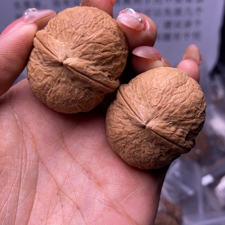 核桃云南野生铁核桃158号38mm