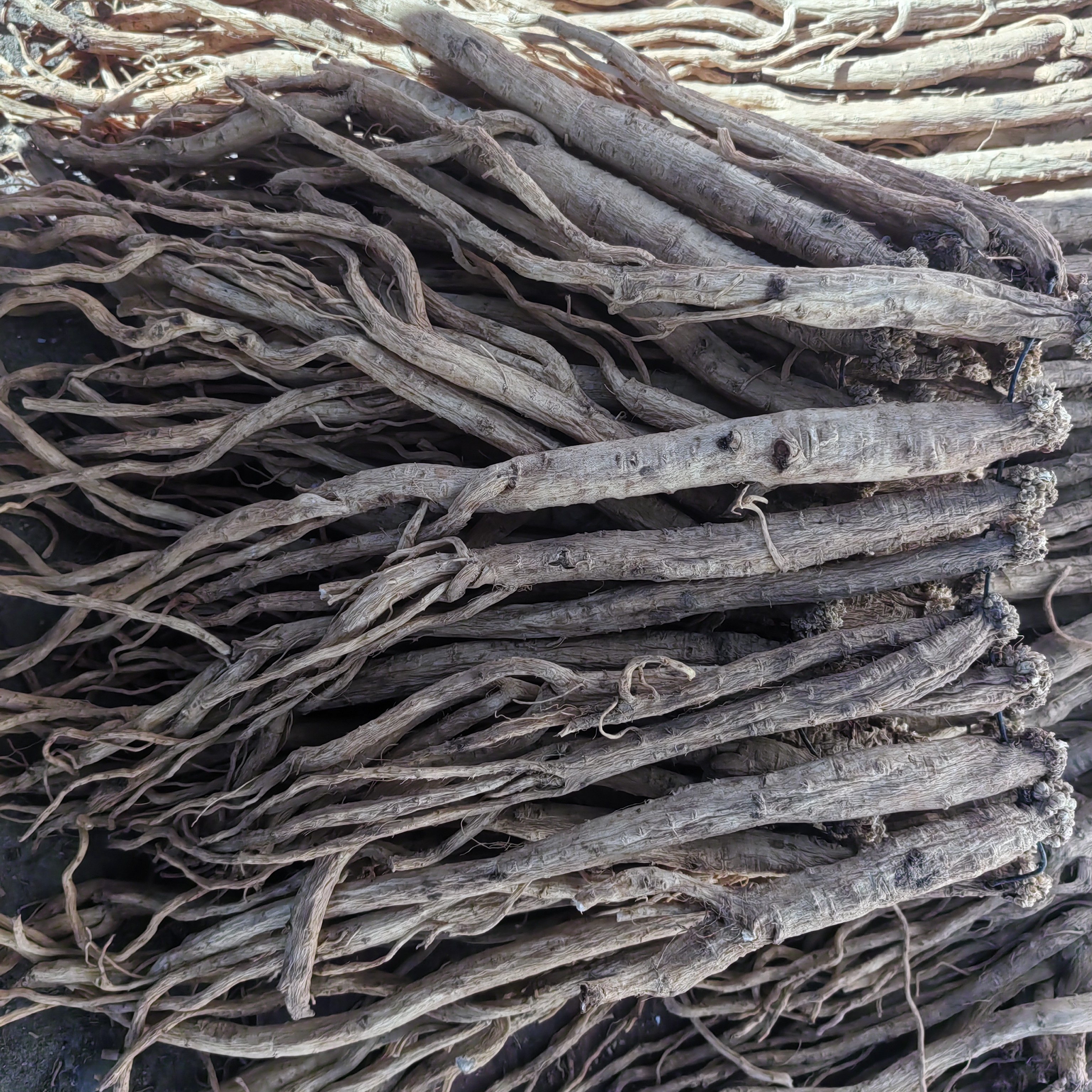 甘肃岷县党参整根大条无熏硫自然晒干煲汤炖肉泡水滋补养生干货