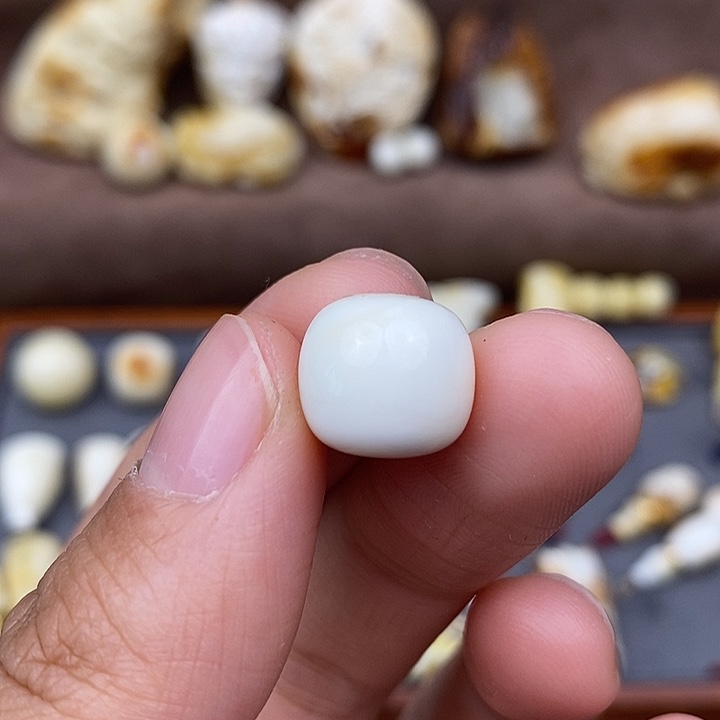 琥珀裸石未镶嵌12×11-s50