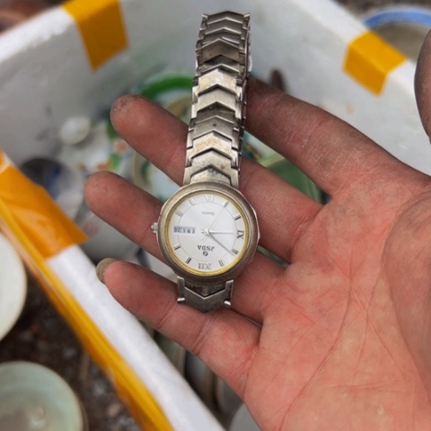 核桃木/黑胡桃（胡桃木）抖*