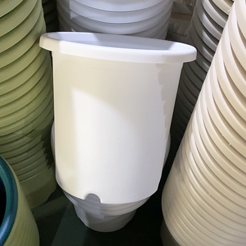 树脂四季7号3个无托白