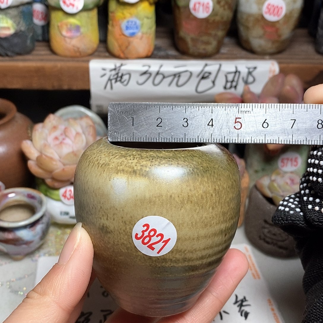 红陶拍5送一个小