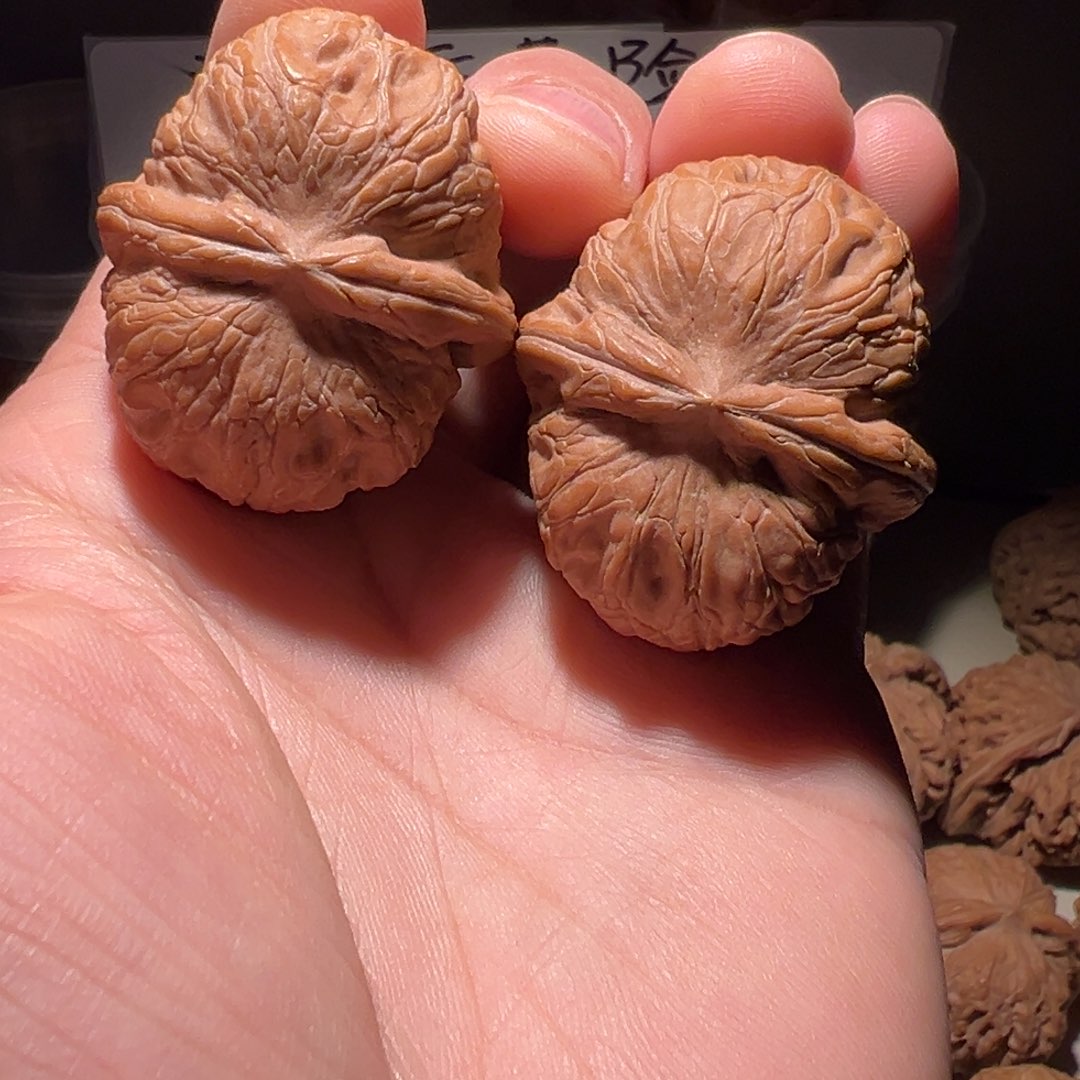 文玩核桃把件39尺全品元宝