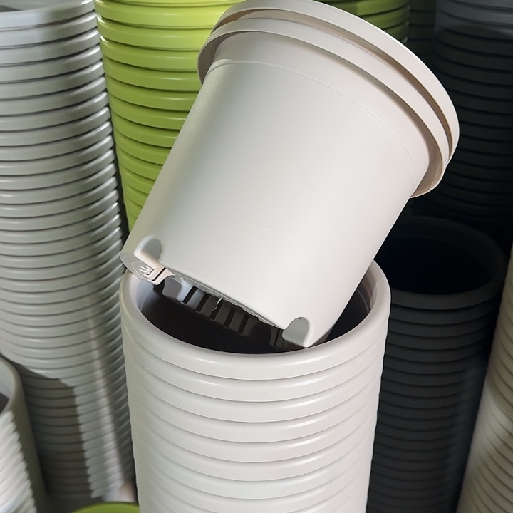 四季4#口径25灰白8个无托