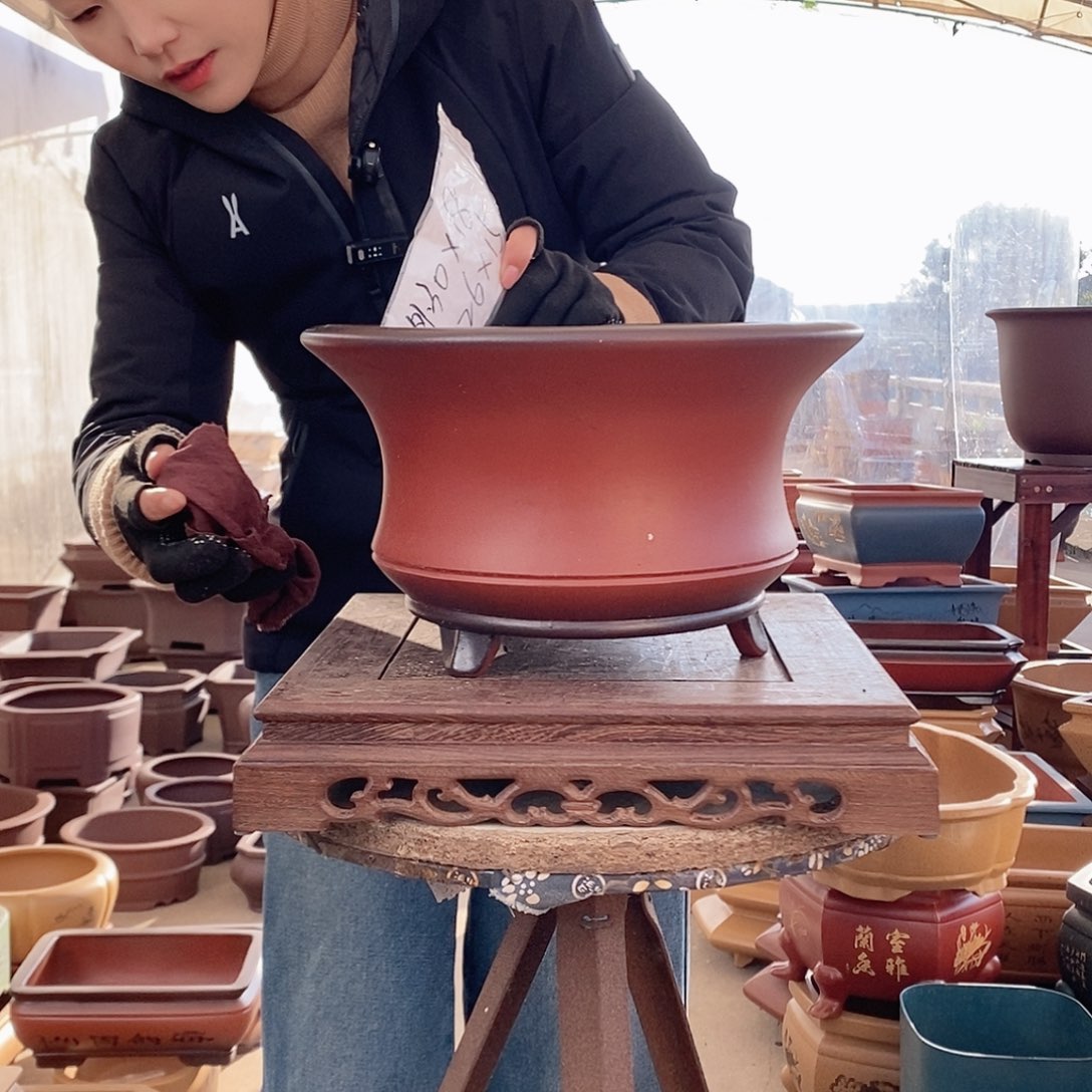 紫砂花盆紫砂花盆